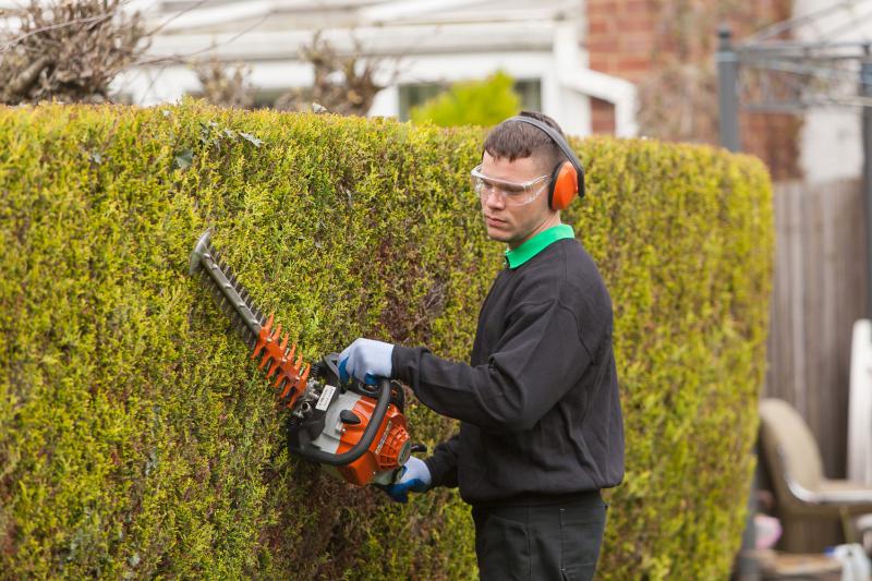 Empresa de limpeza e jardinagem